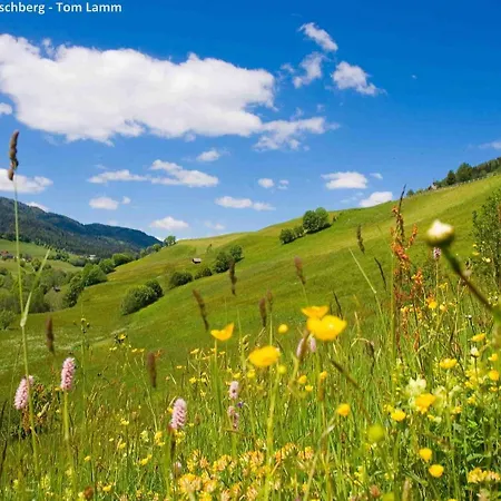 Wooden In Stadl An Der With Sauna شاليه *